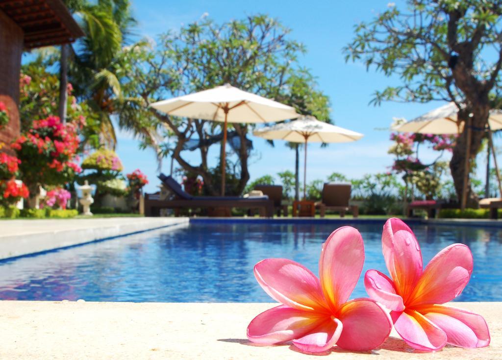 Frangipani Beach Hotel Lovina Zewnętrze zdjęcie